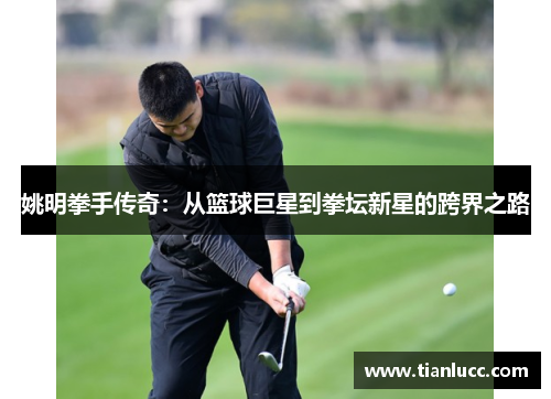 姚明拳手传奇：从篮球巨星到拳坛新星的跨界之路