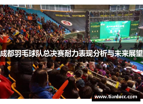 成都羽毛球队总决赛耐力表现分析与未来展望