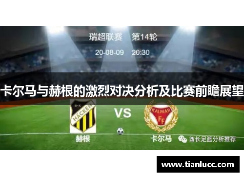卡尔马与赫根的激烈对决分析及比赛前瞻展望